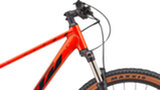 BICICLETA KTM ULTRA RIDE 29'' (48)